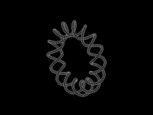 Torus Knot 15 3D Model