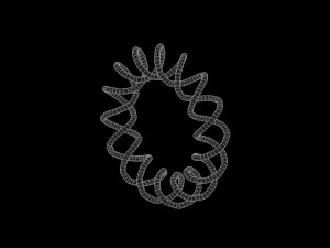 Torus Knot 15 3D Model
