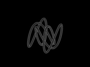 L Knot 2 3Dモデル