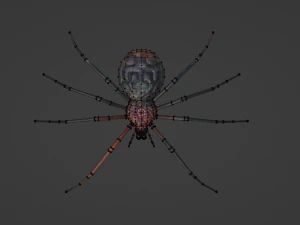 Spider blender 3D Model