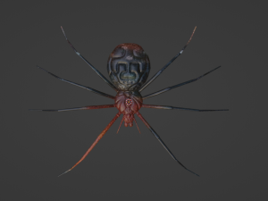 Spider blender 3Dモデル