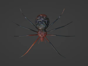 Spider blender 3D Model