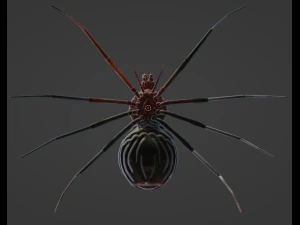 Spider blender 3D Model
