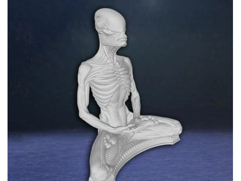 Alien Meditation Hudson Hicks Facehugger Ellen Ripley Newt Action Figures Custom 3D print model 3D Print Model