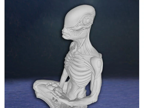 Alien Meditation Hudson Hicks Facehugger Ellen Ripley Newt Action Figures Custom 3D print model 3D Print Model