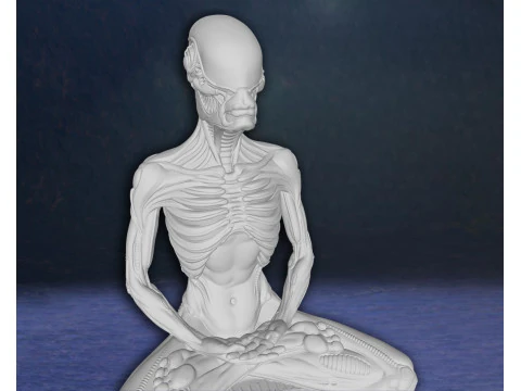 Alien Meditation Hudson Hicks Facehugger Ellen Ripley Newt Action Figures Custom 3D print model 3D Print Model