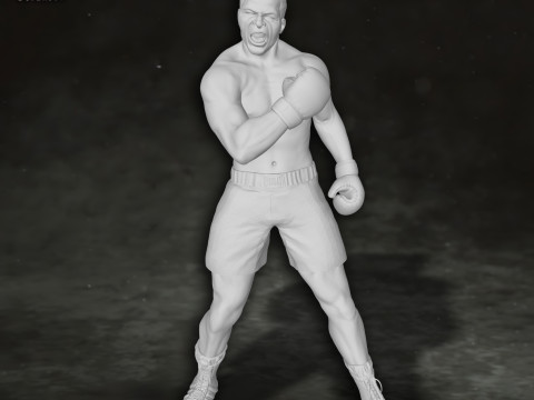 Muhammed Ali box boxer king legend sport Action Figures Custom 3D print model 3D 프린트 모델