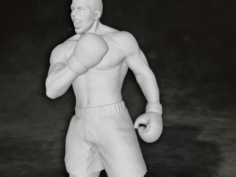 Muhammed Ali box boxer king legend sport Action Figures Custom 3D print model 3D 프린트 모델