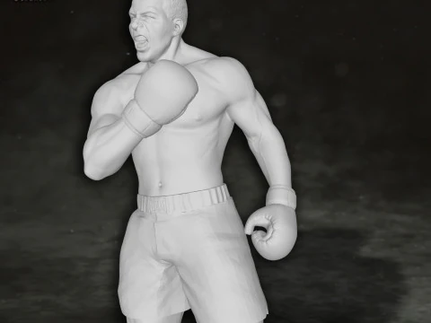 Muhammed Ali box boxer king legend sport Action Figures Custom 3D print model 3D Print Model
