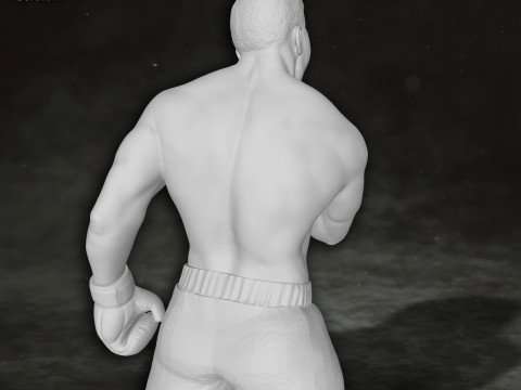 Muhammed Ali box boxer king legend sport Action Figures Custom 3D print model 3D 프린트 모델