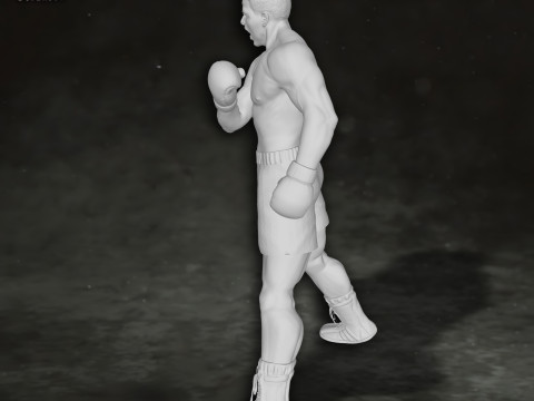 Muhammed Ali box boxer king legend sport Action Figures Custom 3D print model 3D 프린트 모델