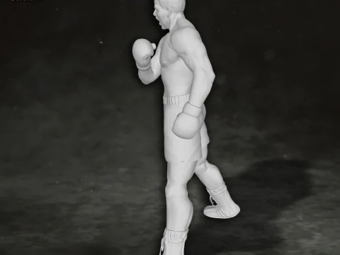 Muhammed Ali box boxer king legend sport Action Figures Custom 3D print model 3D Print Model