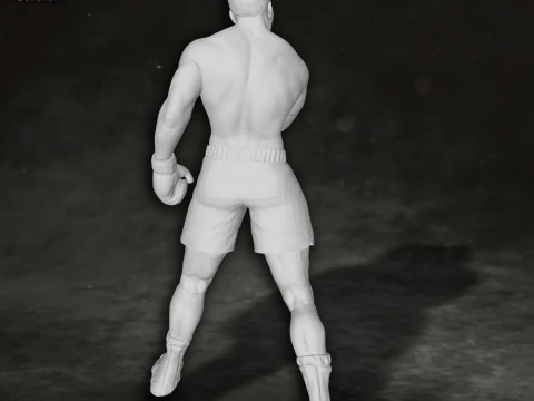 Muhammed Ali box boxer king legend sport Action Figures Custom 3D print model 3D Print Model