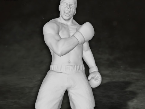 Muhammed Ali box boxer king legend sport Action Figures Custom 3D print model 3D 프린트 모델