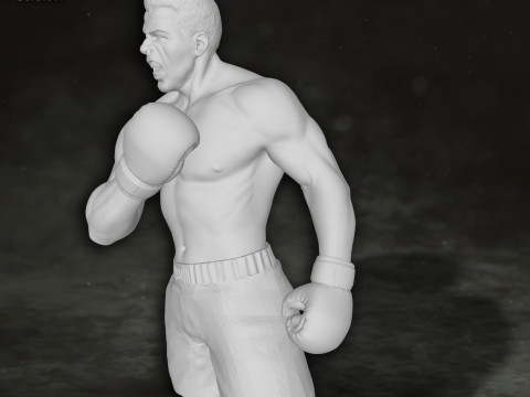 Muhammed Ali box boxer king legend sport Action Figures Custom 3D print model 3D 프린트 모델
