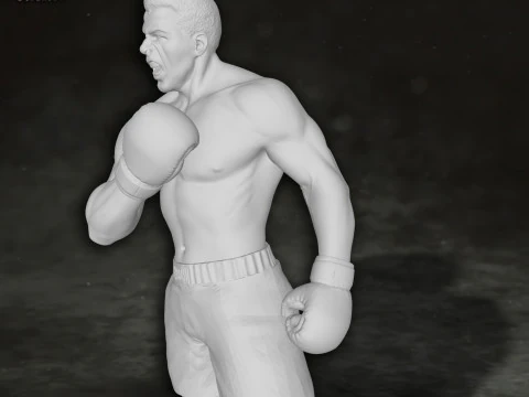 Muhammed Ali box boxer king legend sport Action Figures Custom 3D print model 3D Print Model