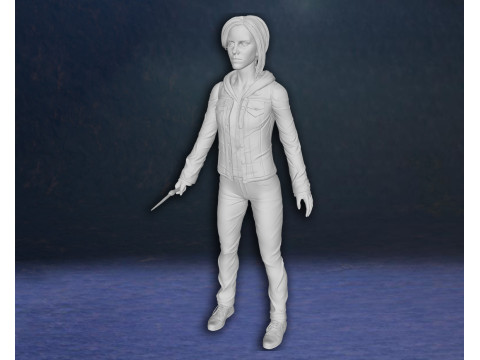 Harry Potter Hermione Granger Action Figures Custom 3D Print Model 3D Print Model