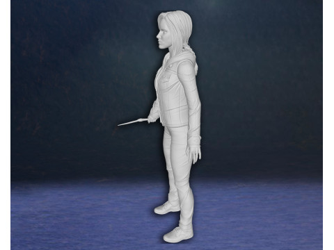 Harry Potter Hermione Granger Action Figures Custom 3D Print Model 3D Print Model