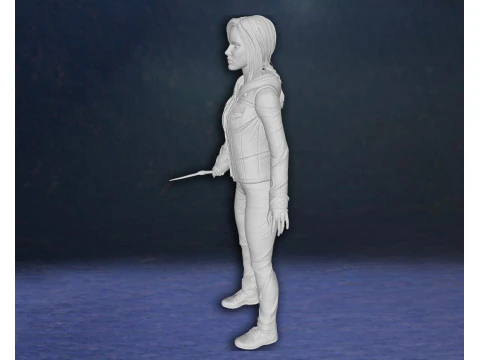 Harry Potter Hermione Granger Action Figures Custom 3D Print Model 3D Print Model