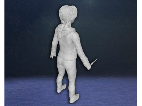 Harry Potter Hermione Granger Action Figures Custom 3D Print Model 3D Print Model