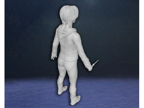 Harry Potter Hermione Granger Action Figures Custom 3D Print Model 3D Print Model