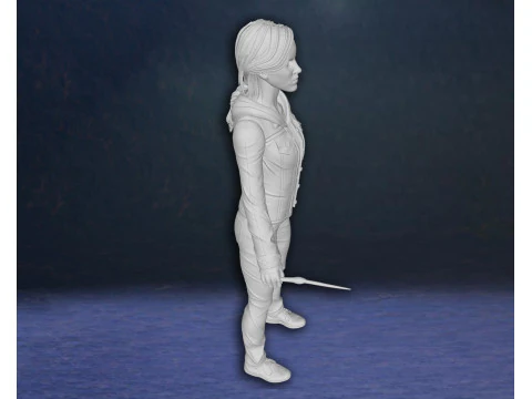 Harry Potter Hermione Granger Action Figures Custom 3D Print Model 3D Print Model