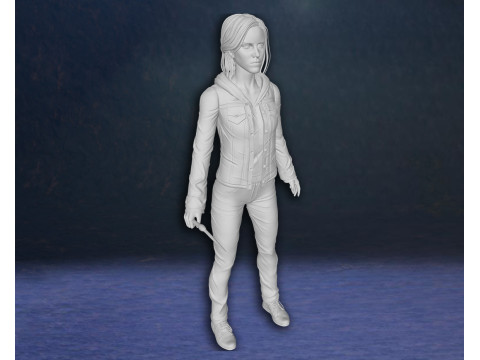 Harry Potter Hermione Granger Action Figures Custom 3D Print Model 3D Print Model