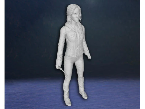 Harry Potter Hermione Granger Action Figures Custom 3D Print Model 3D Print Model
