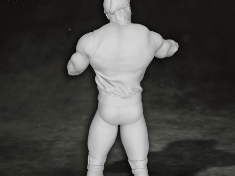 Hulk Hogan wrestling wrestler king legend Action Figures Custom 3D Print Model 3D 프린트 모델