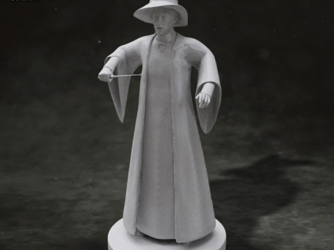Harry Potter Minerva McGonagall Action Figures Custom 3D Print Model 3D Print Model