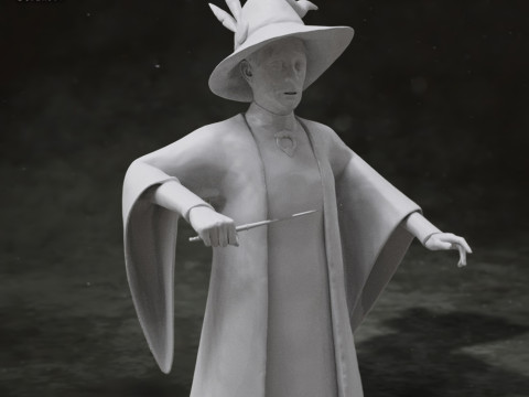 Harry Potter Minerva McGonagall Action Figures Custom 3D Print Model 3D Print Model