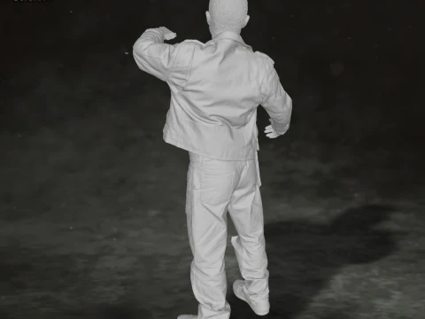 Breaking Bad Mike and Jesse Pinkman Action Figures Custom 3D Print Model 3D Print Model