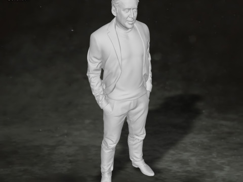 Nicolas Cage Action Figures Custom 3D Print Model 3D 프린트 모델