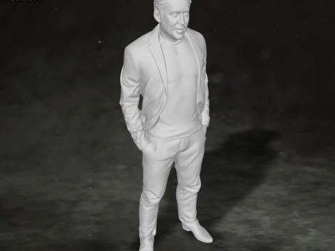 Nicolas Cage Action Figures Custom 3D Print Model 3D Print Model
