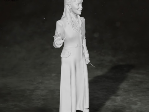 Harry Potter Narcissa Malfoy Action Figures Custom 3D Print Model 3D 打印模型
