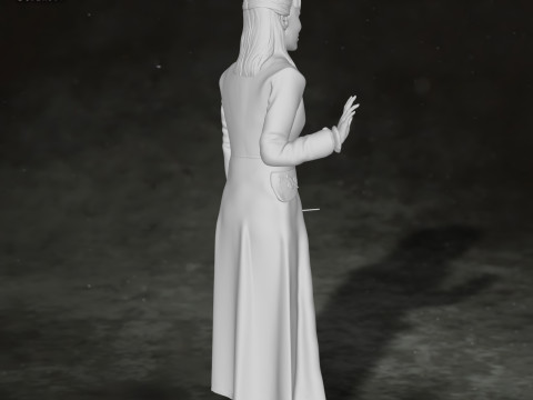 Harry Potter Narcissa Malfoy Action Figures Custom 3D Print Model 3D 打印模型