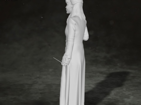 Harry Potter Narcissa Malfoy Action Figures Custom 3D Print Model 3D 打印模型