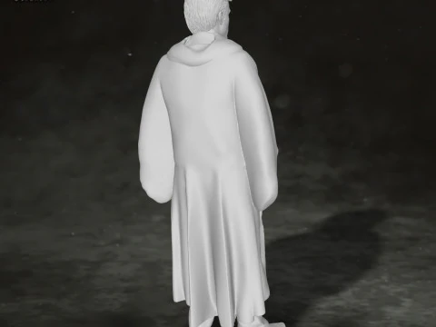 Draco Malfoy Harry Potter Action Figures Custom 3D print model 3D Print Model