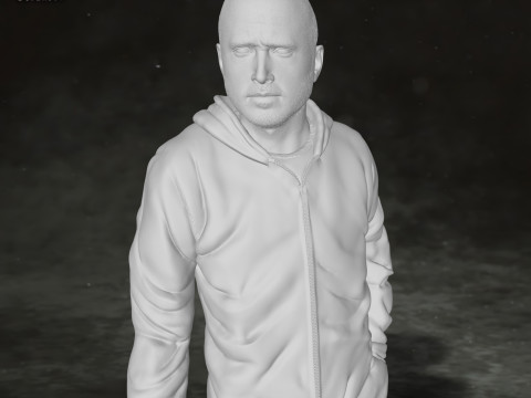 Jesse Pinkman Breaking Bad Action Figures Custom 3D Print Model 3D-Druckmodell