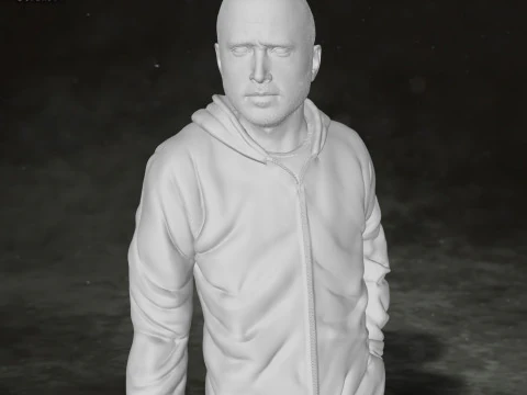 Jesse Pinkman Breaking Bad Action Figures Custom 3D Print Model 3D Print Model