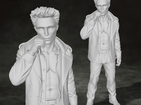 Edward Cullen Twilight Robert Pattinson Figures Custom Action 3D print model 3D प्रिंट मॉडल