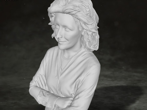 Petunia Dursley Harry Potter Action Figures Custom Action 3D print model Modello di stampa 3D
