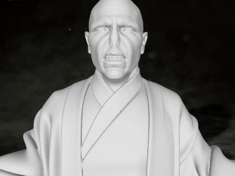 Harry Potter Lord Voldemort Action Figures Custom 3D Print Model