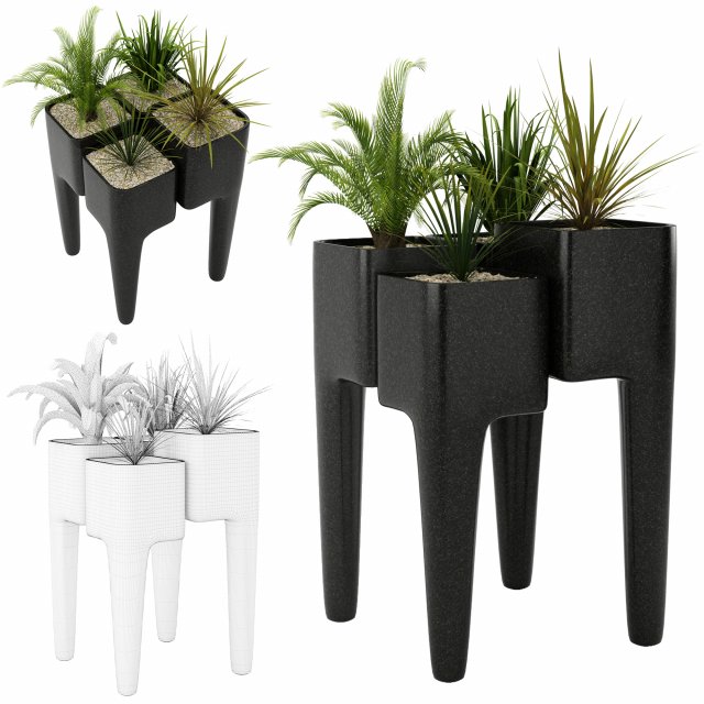 collectionluxterplantvol1 3D Модель .c4d .max .obj .3ds .fbx .stl .blend 