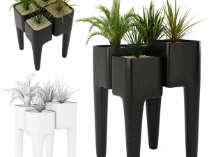 collectionluxterplantvol1 3D Model