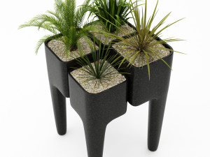 collectionluxterplantvol1 3D Модель