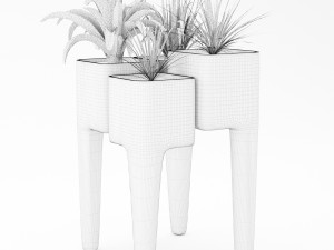 collectionluxterplantvol1 3D Модель