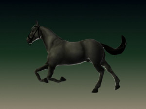 horse 3D Model