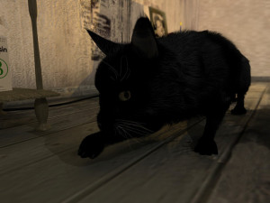 cat 3D Модель