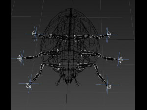 ladybug 3D Model